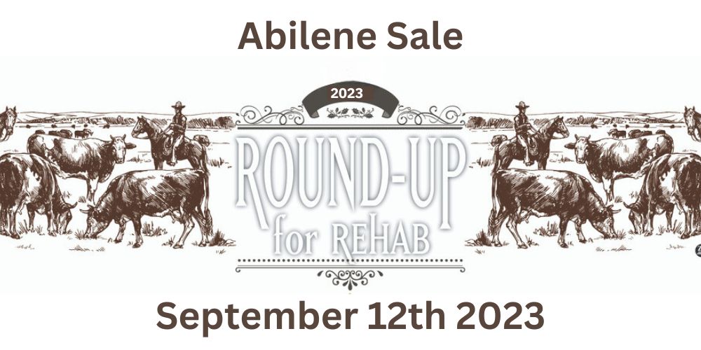 Round-Up for Rehab Abilene Sale (2023)